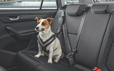 Dog safety belt - "S"