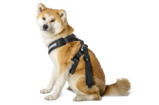 Bezpečnostný pás pre psov - "XL"
