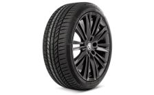 Complete winter alloy wheel Canopus 19" for Superb III