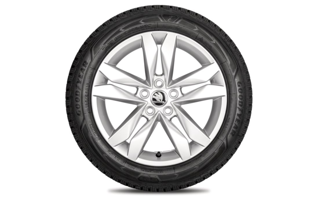 Complete winter alloy wheel Canis 16"  for Fabia IV