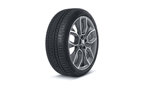 Complete winter alloy wheel CRATER 19" for KAROQ