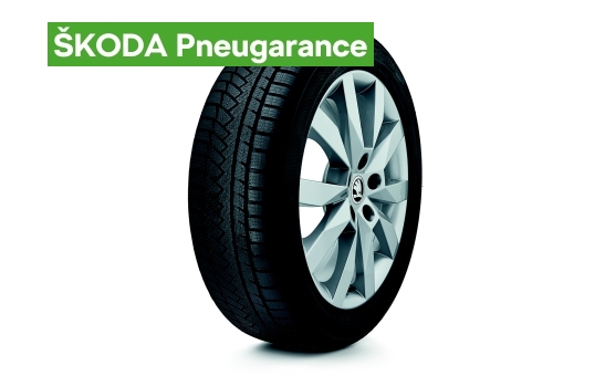 Complete winter alloy wheel CRYSTAL 17" for OCTAVIA III