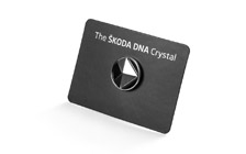 Pin DNA Crystal