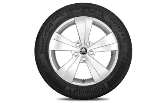 Complete winter alloy wheel TRITON 17" for SUPERB III