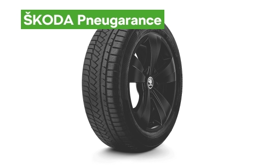 Complete winter 17" alloy wheel Triton SUPERB III