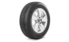 Complete winter alloy wheel Stratos 17" for Scala