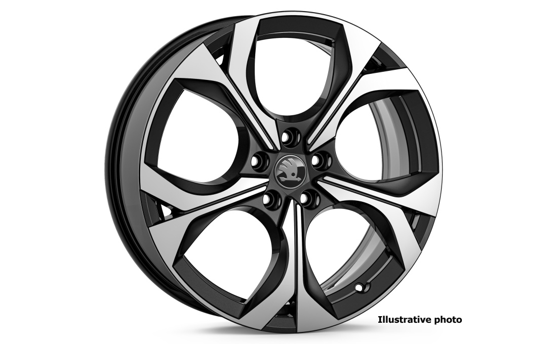 Alloy wheel Elias 19" Octavia IV
