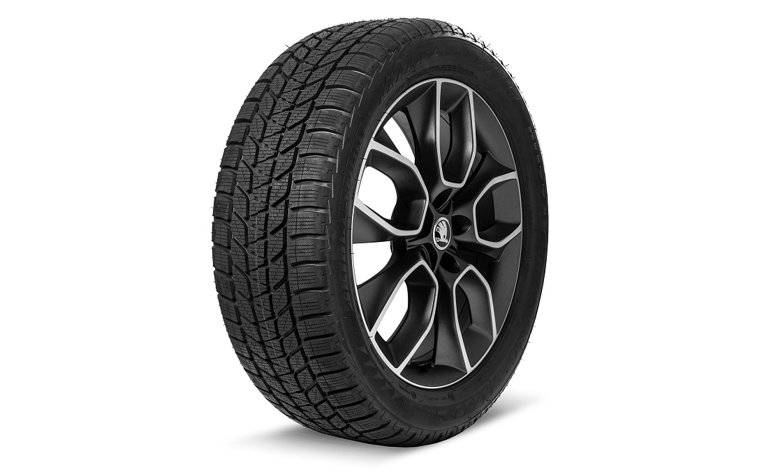 Kompletné zimné koleso CRATER 19" KODIAQ