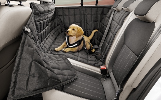 Bezpečnostný pás pre psov - "S"