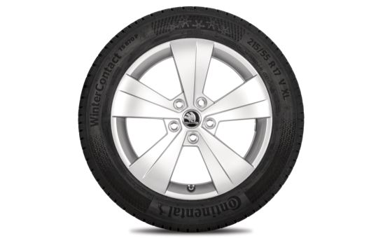 Complete winter alloy wheel Triton 17" for Superb III