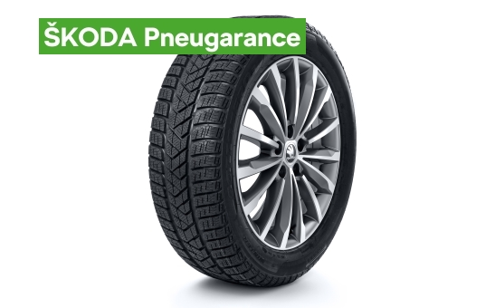 Complete winter alloy wheel TRINITY 18" for KAROQ