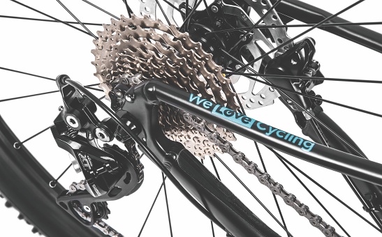 Bicycle ŠKODA MTB LADY