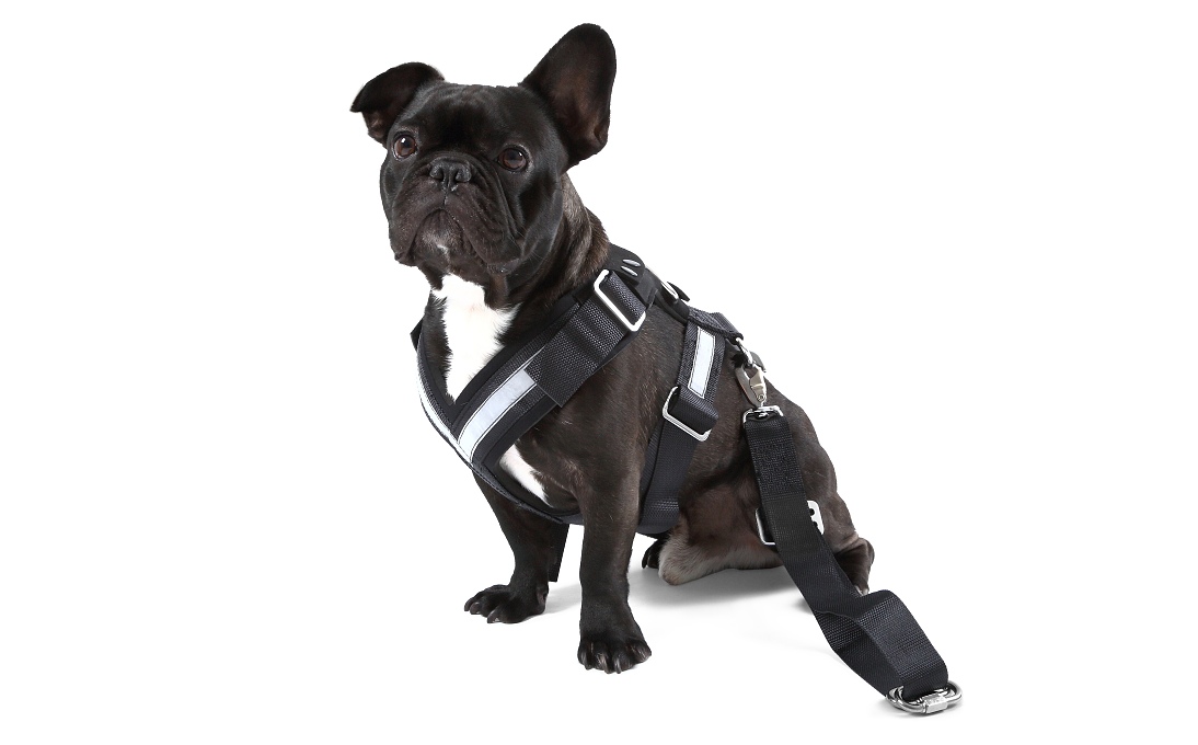 Bezpečnostný pás pre psov - ''M''