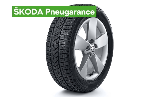 Complete winter alloy wheel RATIKON 17" for KAROQ