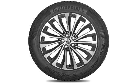 Complete winter alloy wheel Asterion 20" for Enyaq, Elroq