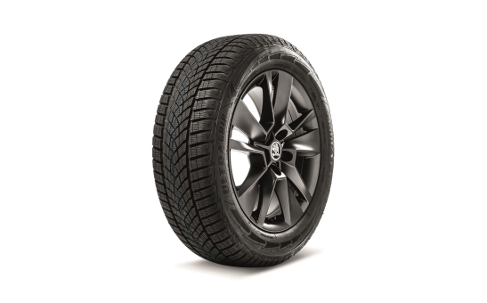 Complete winter  alloy wheel TRITON 17" for KAROQ