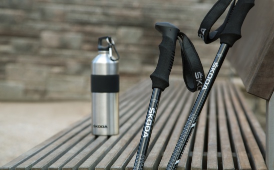Telescopic Trekking Sticks