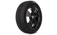 Complete winter alloy wheel Triton 17" for Superb III