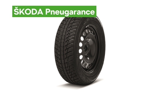 Complete winter steel wheel 17" for KODIAQ