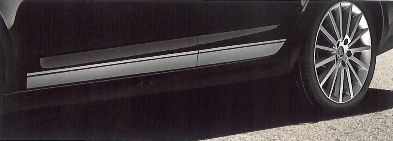 Decorative carbon foils for OCTAVIA III COMBI 