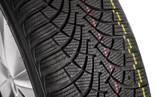 Complete winter alloy wheel Canis 16"  for Fabia IV