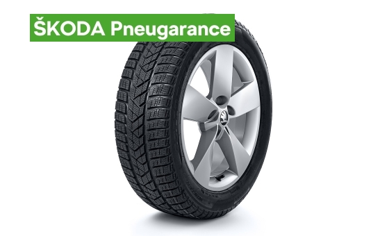 Complete winter 17" alloy wheel Ratikon KAROQ