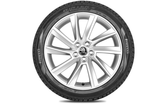 Complete winter alloy wheel Stratos 17" for Scala