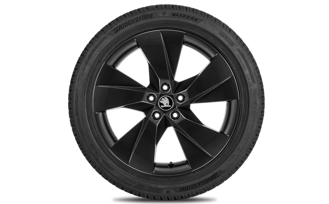 Complete winter alloy wheel Luter 19" rear for Elroq