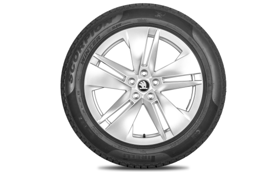 Kompletné zimné koleso Proteus 19" pre Enyaq, Elroq