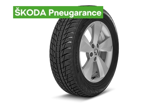 Complete winter 17" alloy wheel Nanuq KODIAQ