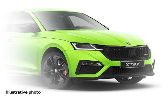 Paint spray green Kiwi