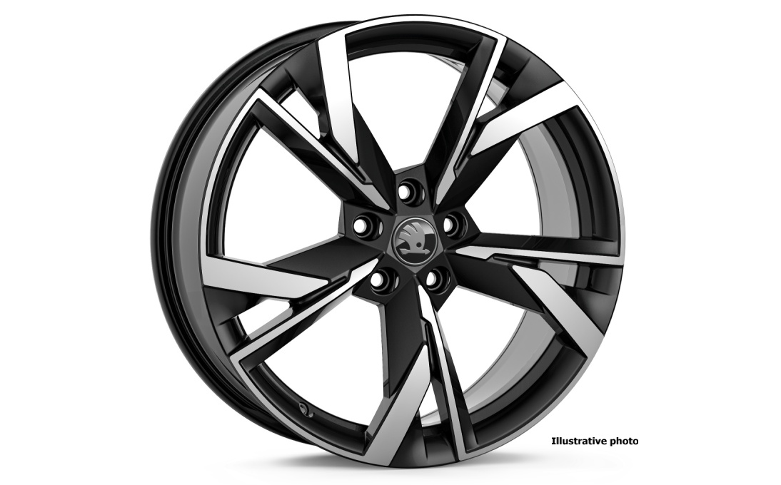 Hliníkový disk Draconis 19" Octavia IV