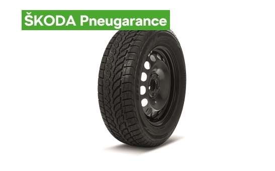 Complete 16" steel wheel with winter tyre KAROQ