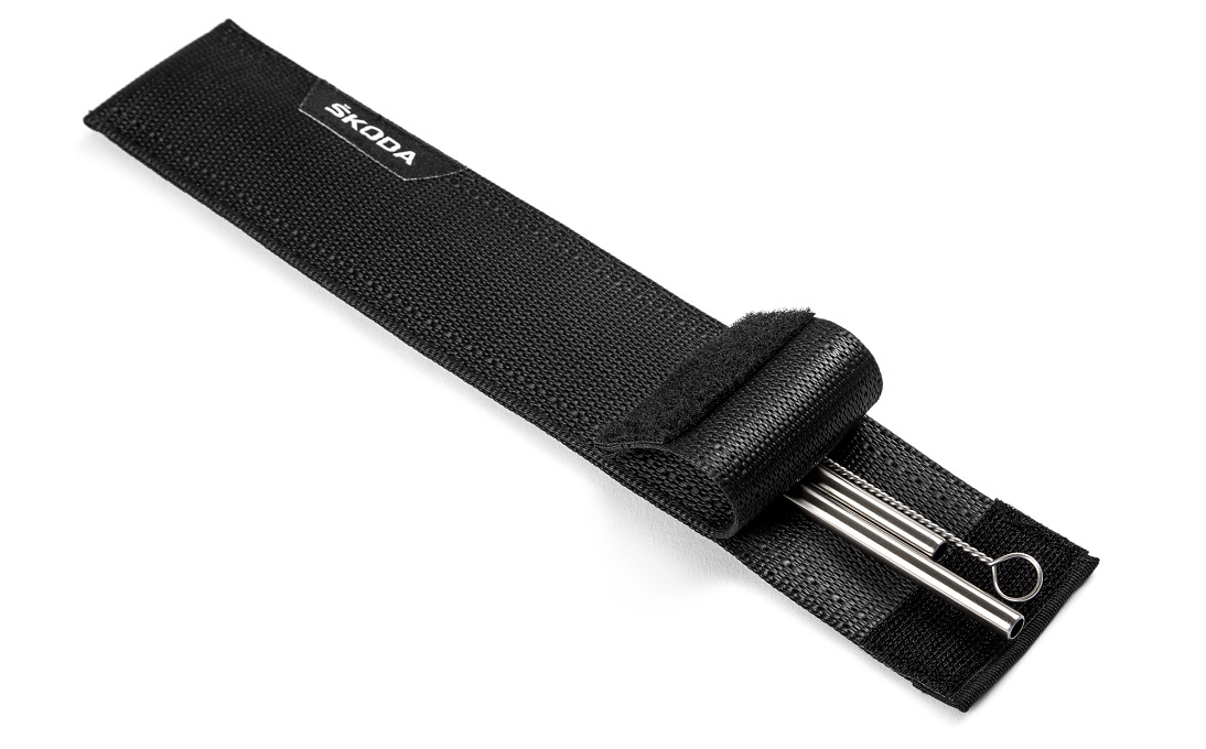 Metal Straws with Case