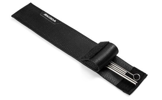 Metal Straws with Case