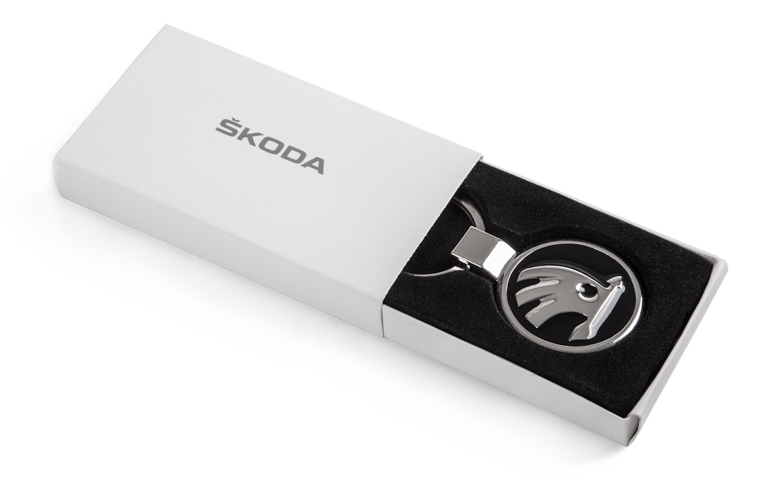 Metal Keyring with a chip