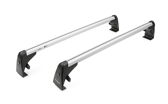 Basic roof rack CITIGO 3D
