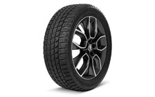 Kompletné zimné koleso CRATER 19" KODIAQ