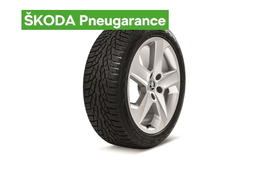 Kompletné zimné koleso DORADO 17" pre OCTAVIA III