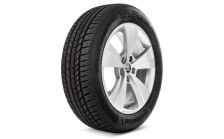 Complete winter alloy wheel TRITON 17" for SUPERB III