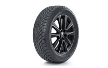 Complete winter alloy wheel SAVIO 17" for FABIA III, RAPID