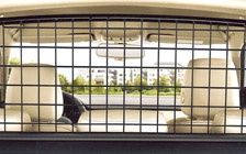 Trunk grille Octavia III Combi