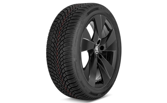 Complete winter alloy wheel Luter 19" rear for Elroq