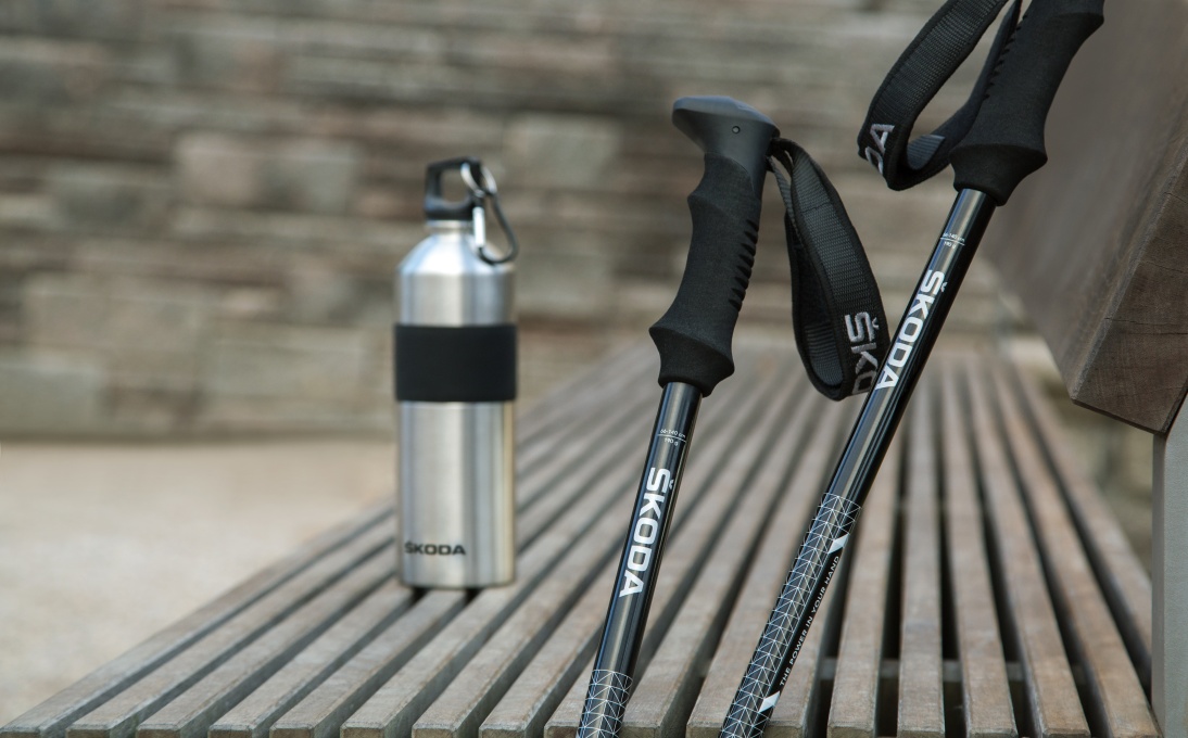 Telescopic Trekking Sticks