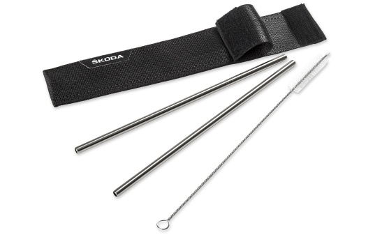 Metal Straws with Case