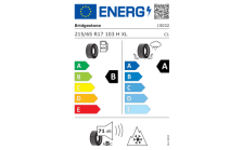 Kompletné zimné koleso Paget aero 17" pre Kodiaq II